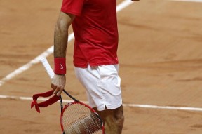  费德勒迎来十赛季高光表现，法国队球迷沸腾！